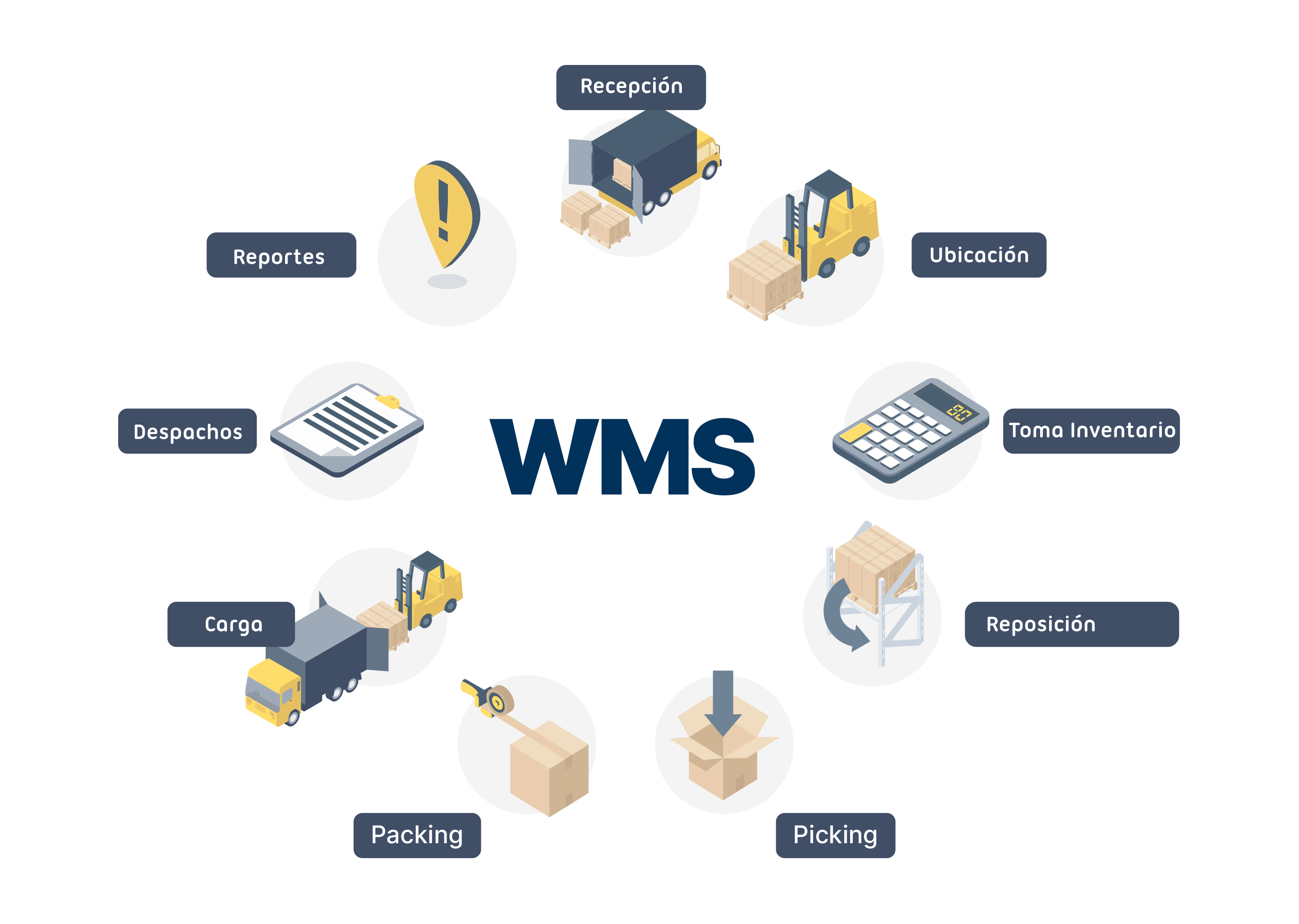 Ciclo completo WMS